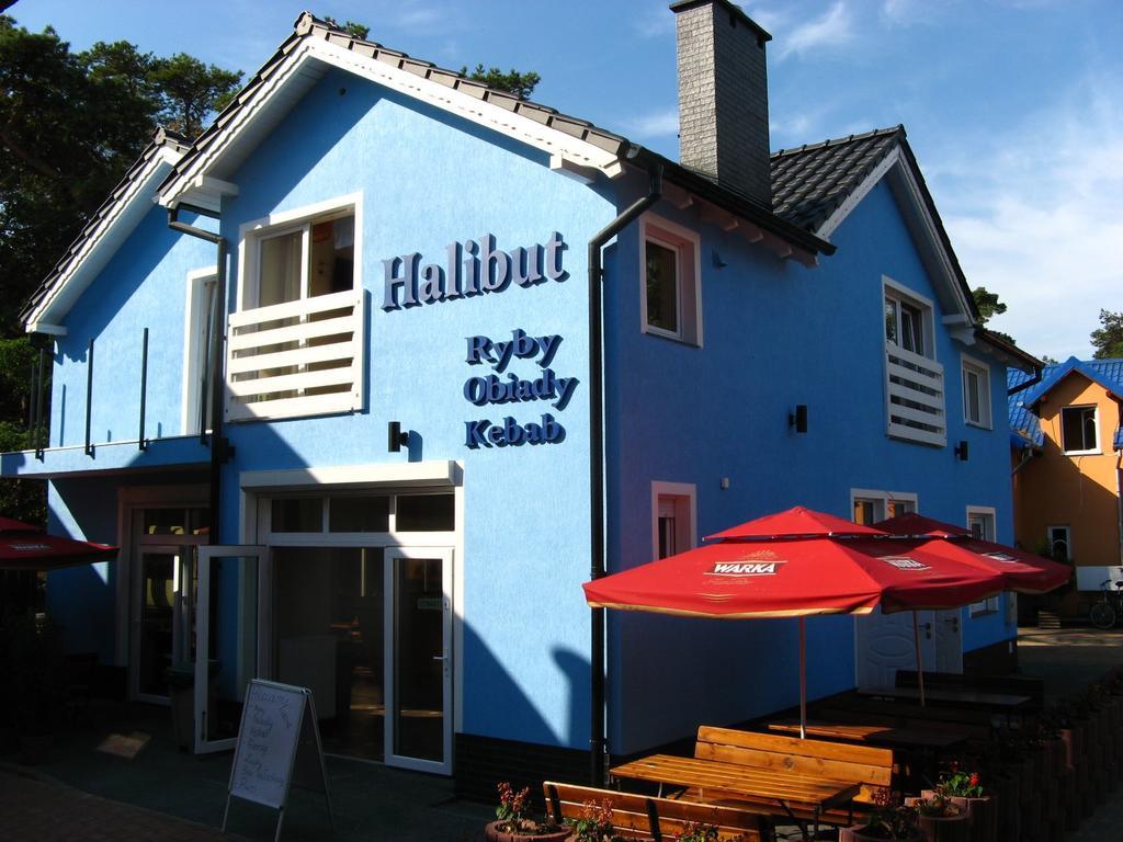 Apartmán Halibut Stegna  Exteriér fotografie